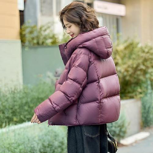 이미지 BG