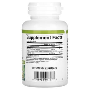 미국직구 Natural Factors 내추럴팩터스 프리미엄 밀크씨슬 160mg 60캡슐