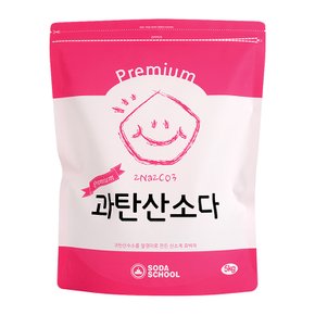 프리미엄 과탄산소다 대용량 5kg