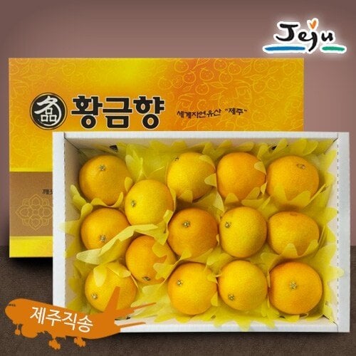 이미지 P
