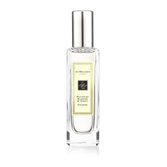  JO MALONE LONDON 조말론 넥타린 블로썸 앤 허니 콜론