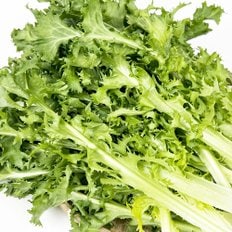  [새벽시장/당일발송] 국내산 치커리 쌈채소 샐러드야채 치커리무침 1kg