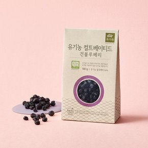 유기농 컬티베이티드 건블루베리 160g.