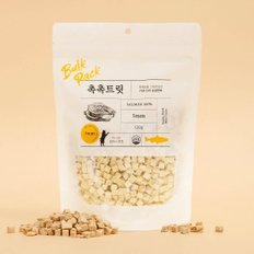 펫프렌즈 촉촉트릿 for cat 초미니트릿 연어 120g X 2개