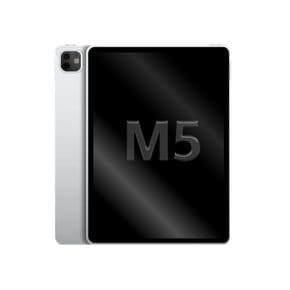 Apple 아이패드 프로 11 M5 실버 (스탠다드 글래스) 1TB, WiFi전용 MDWQ4KH 국내정품 Ss