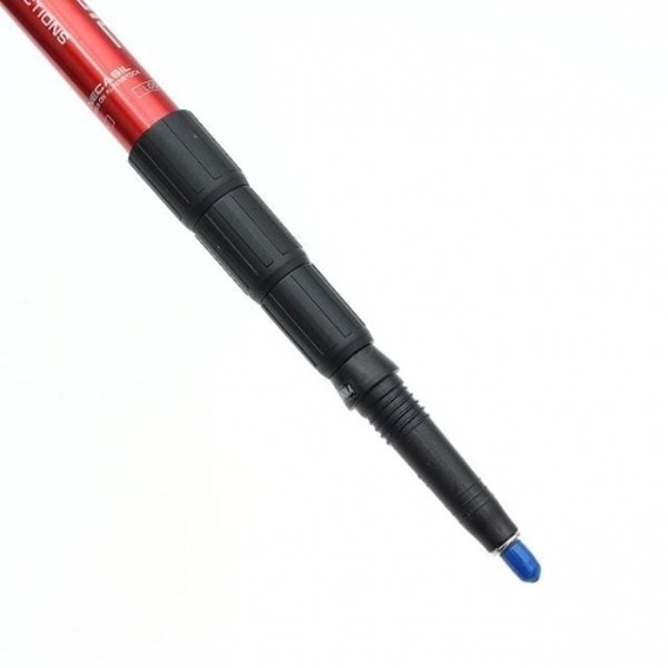 확대된 대표 image1
