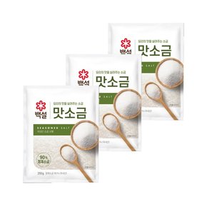 백설 맛소금 250g x3개