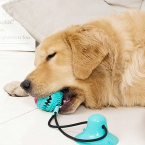강아지 터그놀이 노즈워크 장난감 로프 치석제거 혼자놀기-셀프펀터그 노즈워크