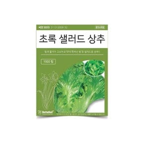 베하몰 텃밭 채소 씨앗 초록 샐러드 상추 (WDC9353)