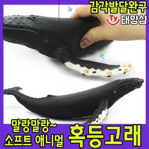 소프트 애니멀/혹등고래/발달완구/고래 장난감/해양/반디