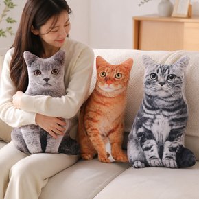 고양이 애착인형 귀여운 쇼파쿠션 봉제인형 쓸데없는 쓸모없는 웃긴선물 50cm