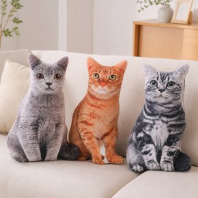 고양이 애착인형 귀여운 쇼파쿠션 봉제인형 쓸데없는 쓸모없는 웃긴선물 50cm