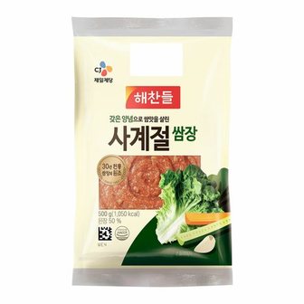 해찬들 CJ 해찬들 사계절쌈장 500g (봉)