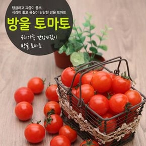 탱탱한 방울토마토 5kg-2번 기준