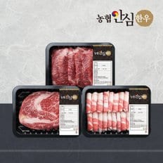 1등급 한우 한 근 구이세트 600g(꽃등심/모듬구이/차돌박이)
