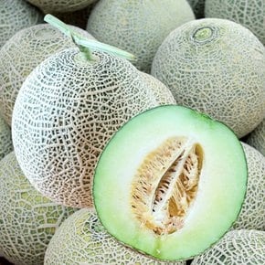 고당도 멜론 머스크 메론 1통