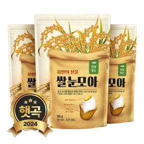 2024년 햇곡 국산 쌀눈 900g (300gx3봉)