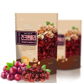 아라촌 건크랜베리 400g x 1팩