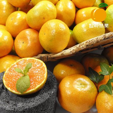 명가일품 [탐라브로] 제주 노지 감귤 특상품 1kg (중과/2S-M)