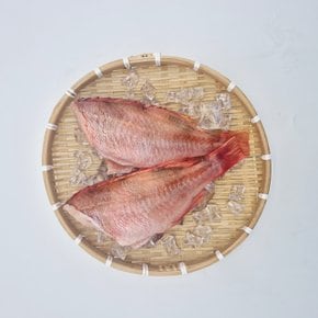 가락시장 특대열기 2미 한팩 500g