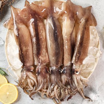 맛군 손질 자연산 싱싱한 통오징어 270g 3팩 6마리 (팩당, 2미)