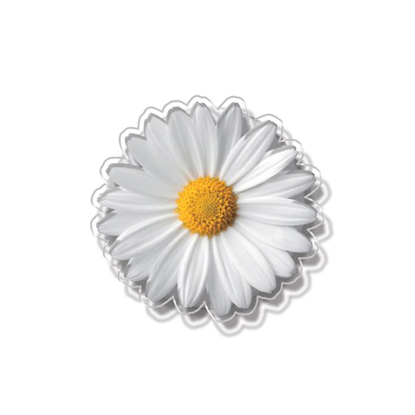 맥세이프 클리어톡 - 데이지(Daisy)