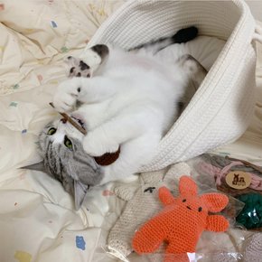 캣닢 마따따비 춥스 뜨개 막대사탕 고양이 캣닢 장난감
