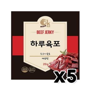 하루육포 소고기육포 매운맛 안주간식 20g x 5개