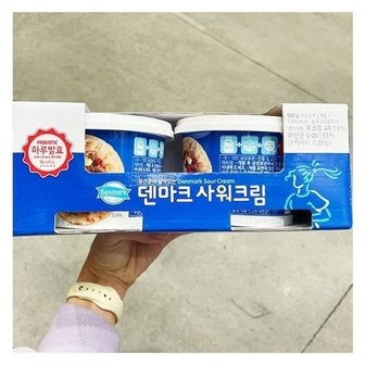  덴마크 사워크림 2PACK 250G X 2 코스트코