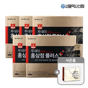 6년근 투데이 홍삼정 플러스 30포 5세트(쇼핑백 포함)