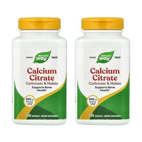 네이처스웨이 칼슘 시트레이트 카보네이트 앤 말레이트 캡슐 250정 2개 Calcium Citrate