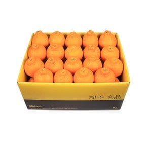 제주 꼬마한라봉 소과 5kg(28~35과 내외)