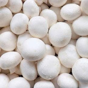 [산지직송] 양송이버섯 못난이 1kg /GAP 인증