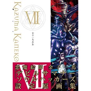가네코 이치마 화집 VII