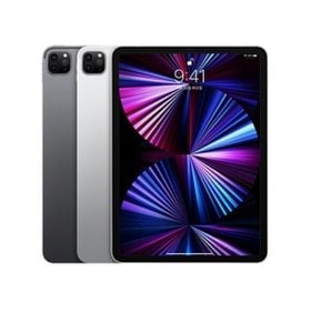 애플 iPad Pro3 11 WiFi 256GB 그레이 사은품증정
