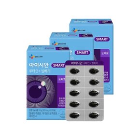 아이시안 루테인+빌베리(600mg x30캡슐) x3박스 3개월분