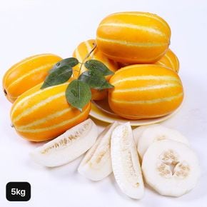 26년 자연애 성주참외 5kg(15~25과)/로얄과[35729555]