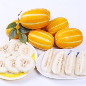 26년 자연애 성주참외 5kg(15~25과)/로얄과[35729555]