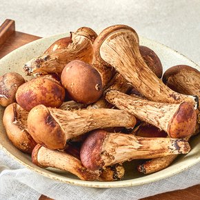 당일 수확 무농약 GAP 참송이버섯 가정용 1kg