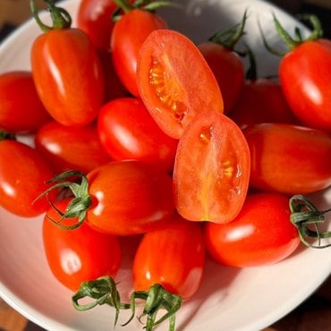 백수네상회 로얄과  짭짤하고 달콤한 방울토마토 500g/1팩