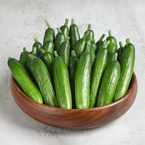 아삭 끝판왕 미니오이 500g~2kg 택1