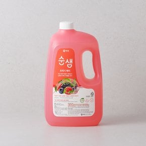 순샘 베리 3L 용기 x 1개