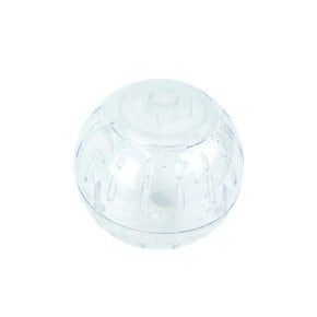 햄스터 운동볼 437616 (41979635)