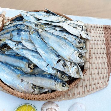  바다어보 국산 디포리 500g 상급 건디포리 밴댕이 국물용멸치