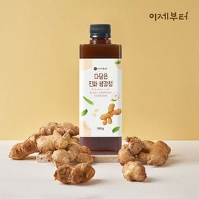 이제부터 다담은 진짜 생강청 550g x 1병[33747174]