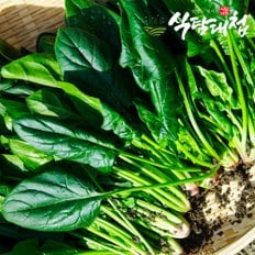 식탐대첩 국내산 손질 시금치 2kg 특품