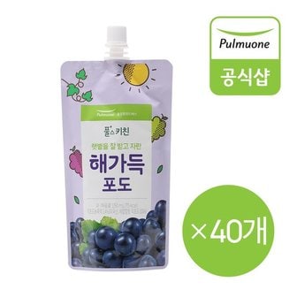 풀무원 풀스키친 해가득 포도주스 150mlX40EA