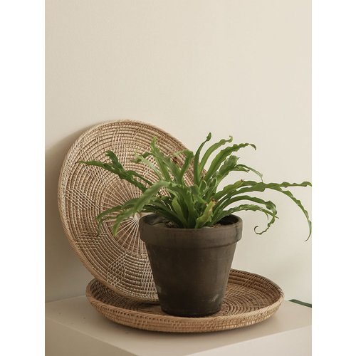 Add Image 2