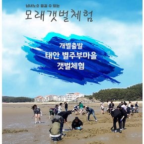 [태안] 별주부마을 갯벌체험(~26/11/29)