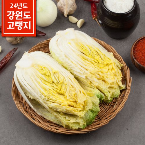 [품질보장][도착일 선택 배송]강원도 고랭지 절임배추 20kg (6~10포기)